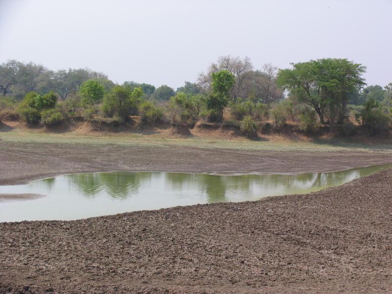 South-Luangwa_1014