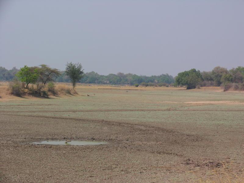 South-Luangwa_1015