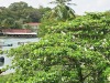St.Lucia-031