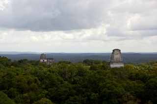 Tikal-065