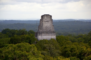 Tikal-067