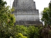 Tikal-060