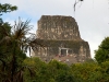 Tikal-061