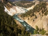 Yellowstone-NP-1-078