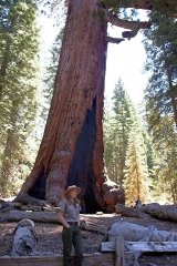 Yosemite-232