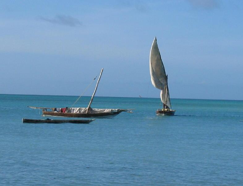 Zanzibar_0356