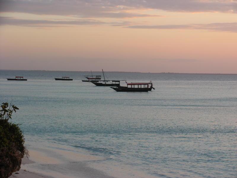 Zanzibar_1158